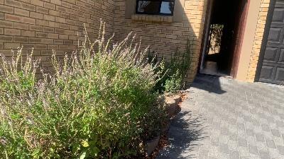 To Let 2 Bedroom Property for Rent in Protea Heights Western Cape